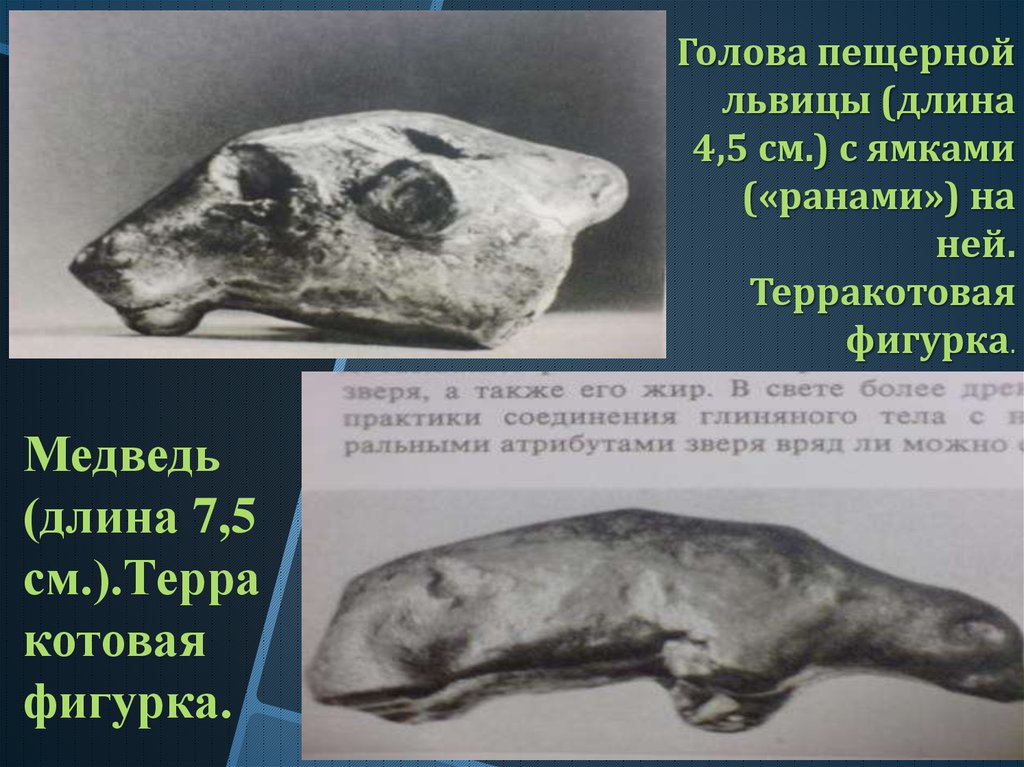 Голова пещерной львицы (длина 4,5 см.) с ямками («ранами») на ней. Терракотовая фигурка.