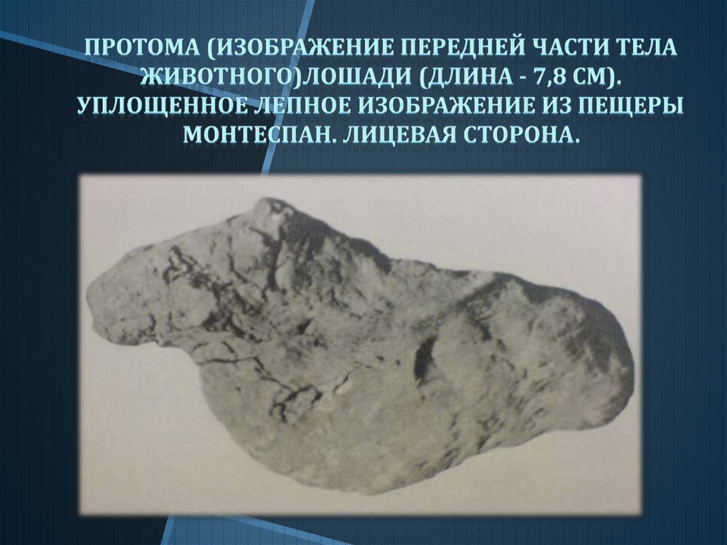 Протома (изображение передней части тела животного)лошади (длина - 7,8 см). Уплощенное лепное изображение из пещеры Монтеспан.