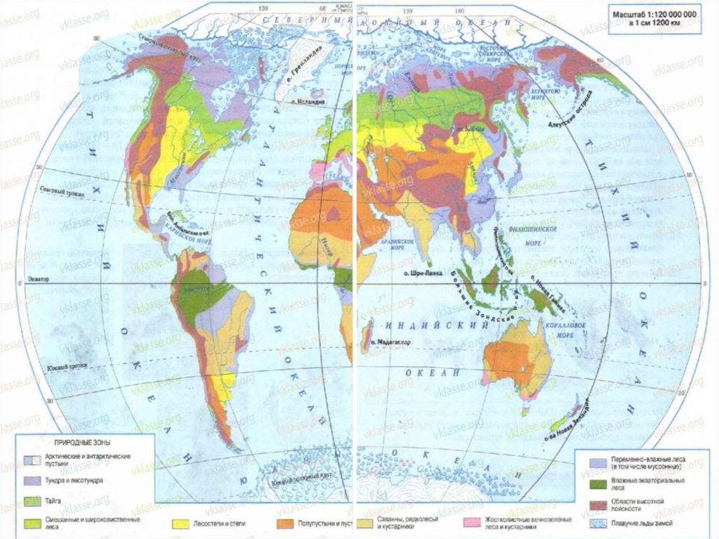 Материки и природные зоны на карте