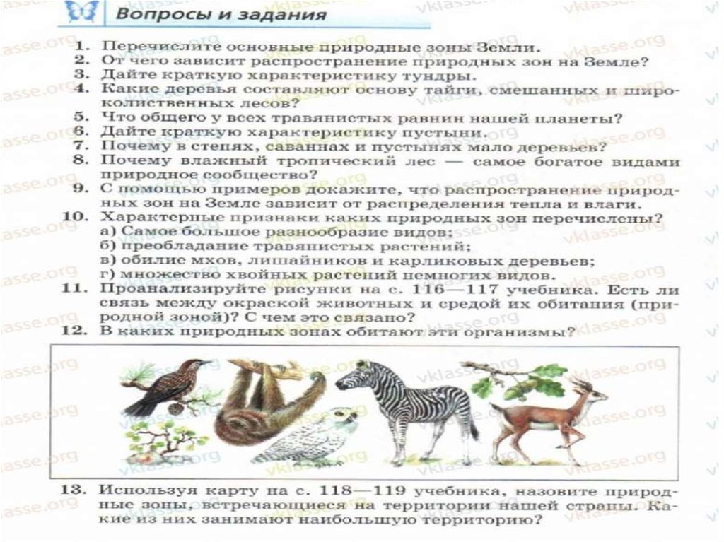 Проанализируйте рисунки на с 116 117 учебника есть ли связь между окраской животных и средой