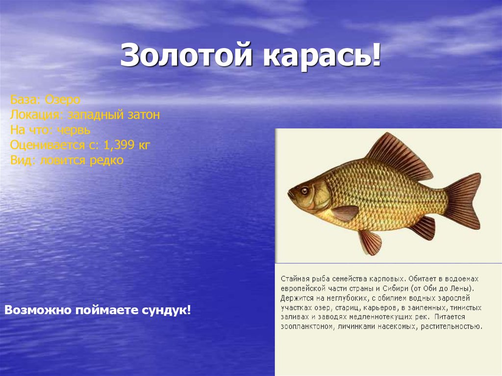 Золотой карась!