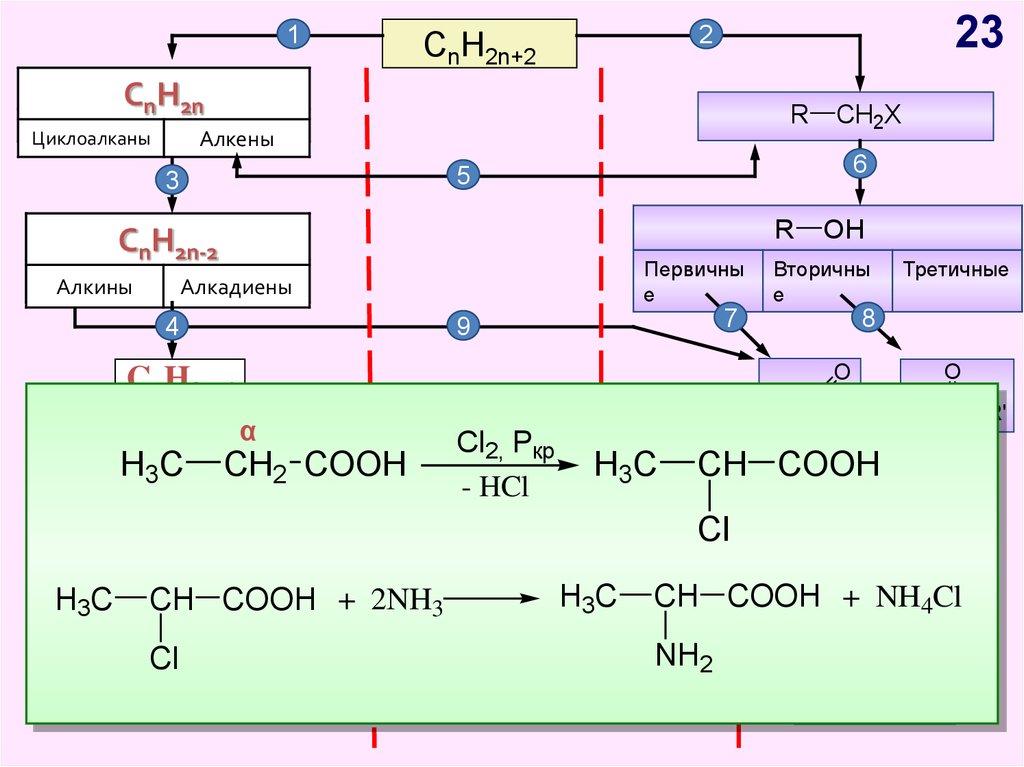 Cnh2n 2 класс соединений. Генетическая взаимосвязь органических соединений. Генетическая связь между классами органических соединений. Схема генетической связи между классами органических соединений. Генетическая связь органических веществ схема.