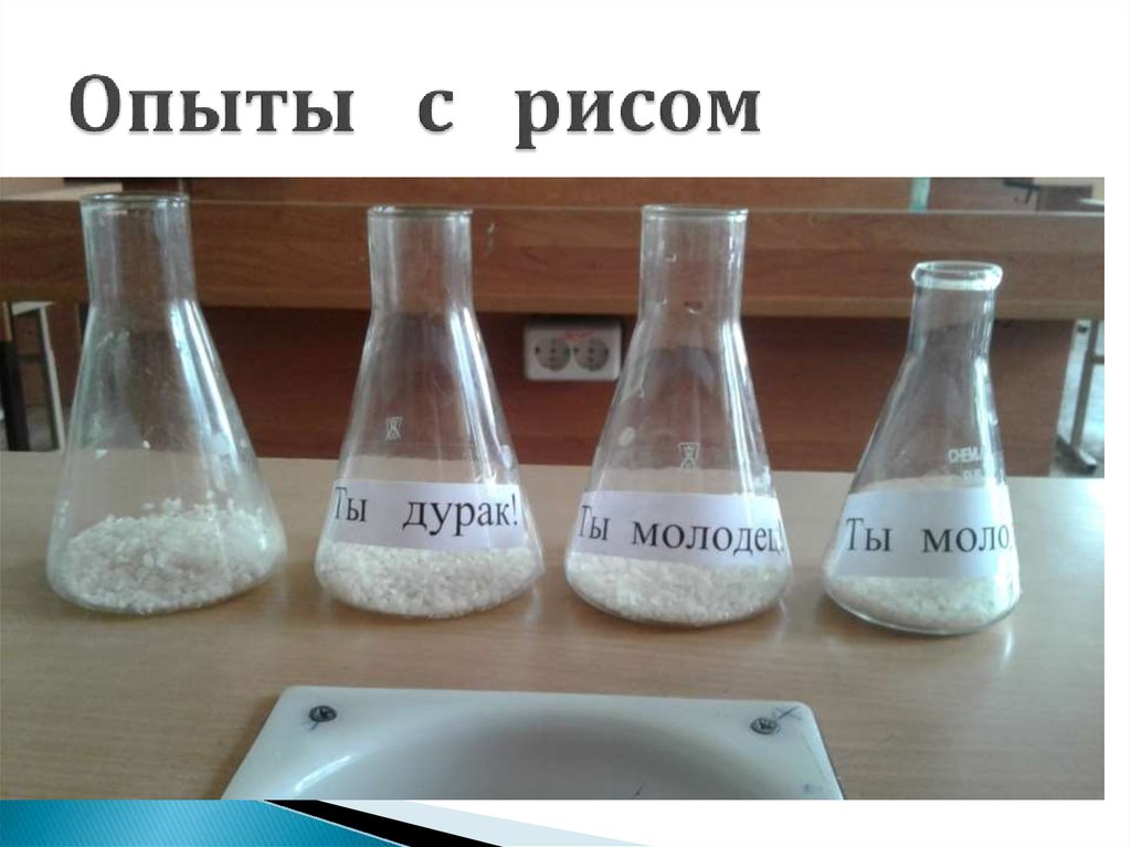 Опыт живая вода. Опыт с рисом. Эксперимент с рисом и водой. Опыт с рисом и водой. Опыт на память воды с рисом.