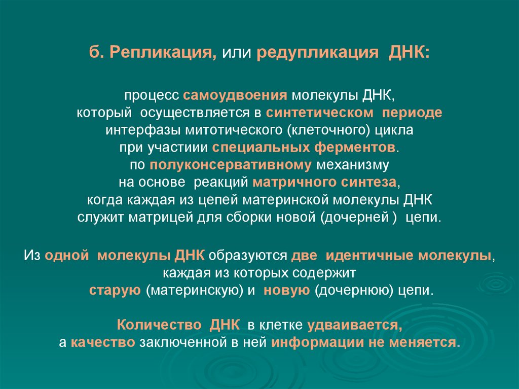 Редупликация днк последовательность. Процесс редупликации ДНК последовательность. Репликация или редупликация ДНК. Редупликация это процесс.