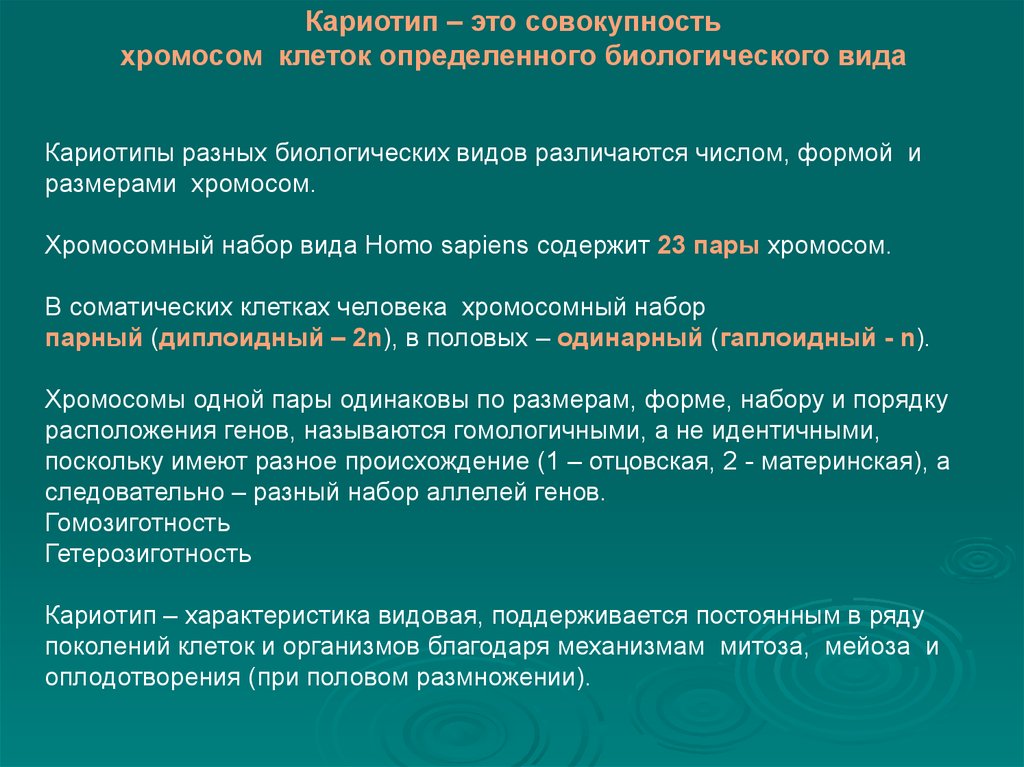 Поколений клеток. Кариотип это совокупность. Совокупность генов в диплоидном наборе хромосом. Хомо сапиенс имеет 23 пары хромосом.