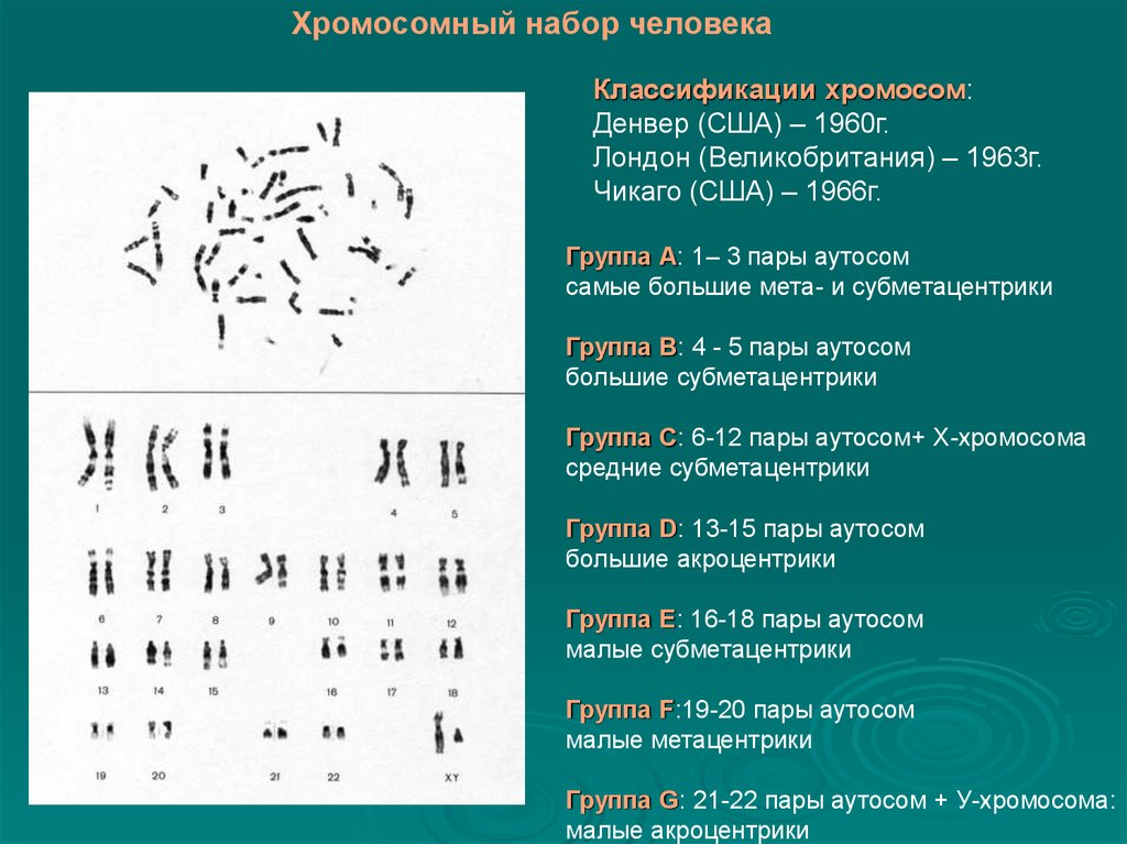 Схема хромосомного набора. Хромосомный набор человека. Хромомсомныйнабор человека. Набор хромосом у человека. Хромосомный набор человека хромосомы.