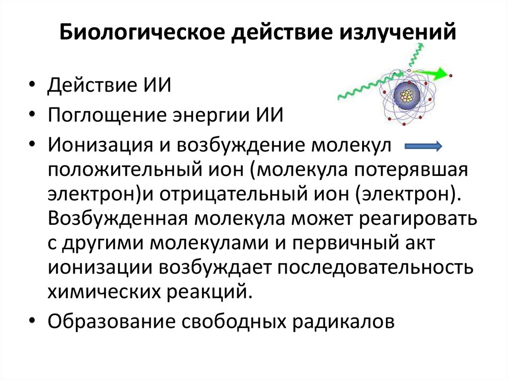 Биологическое действие радиоактивных излучений проект