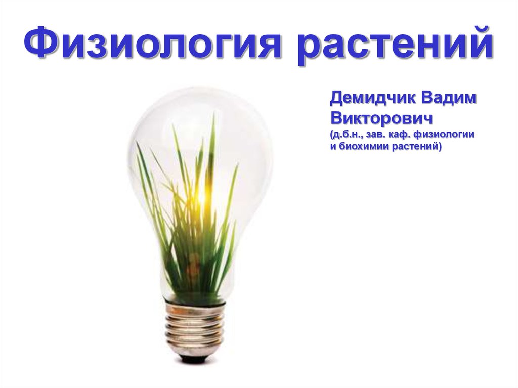 Физиология растений. Физиология цветка. Процессы физиологии растений. Что такое физиология растений в биологии.