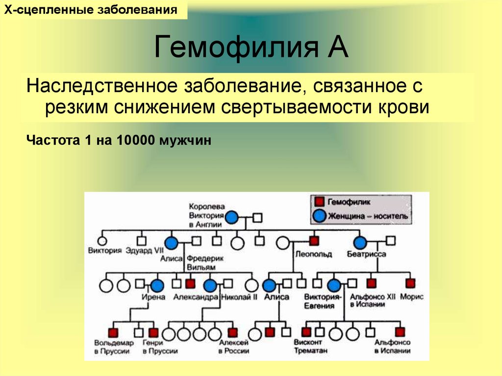 Классическая гемофилия передается