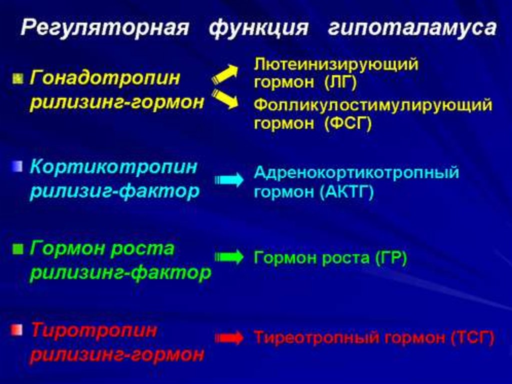 Фактор функции. Гонадотропин гормон функции. Гонадотропный гормон функции. Гонадотропин рилизинг гормон. Рилизинг гормоны функции.