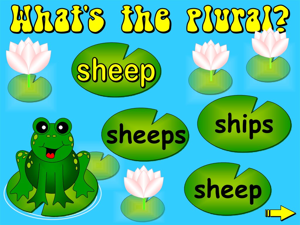 Plurals презентация. Презентация plural 5 класс. Plurals presentation. Ship Sheep.