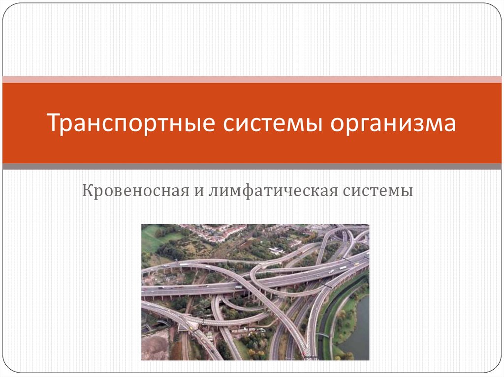 Презентация по биологии 8 класс транспортные системы организма