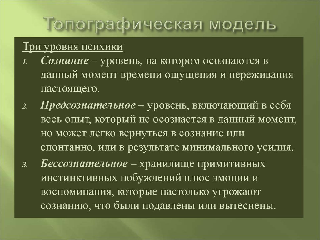 Топографическая модель
