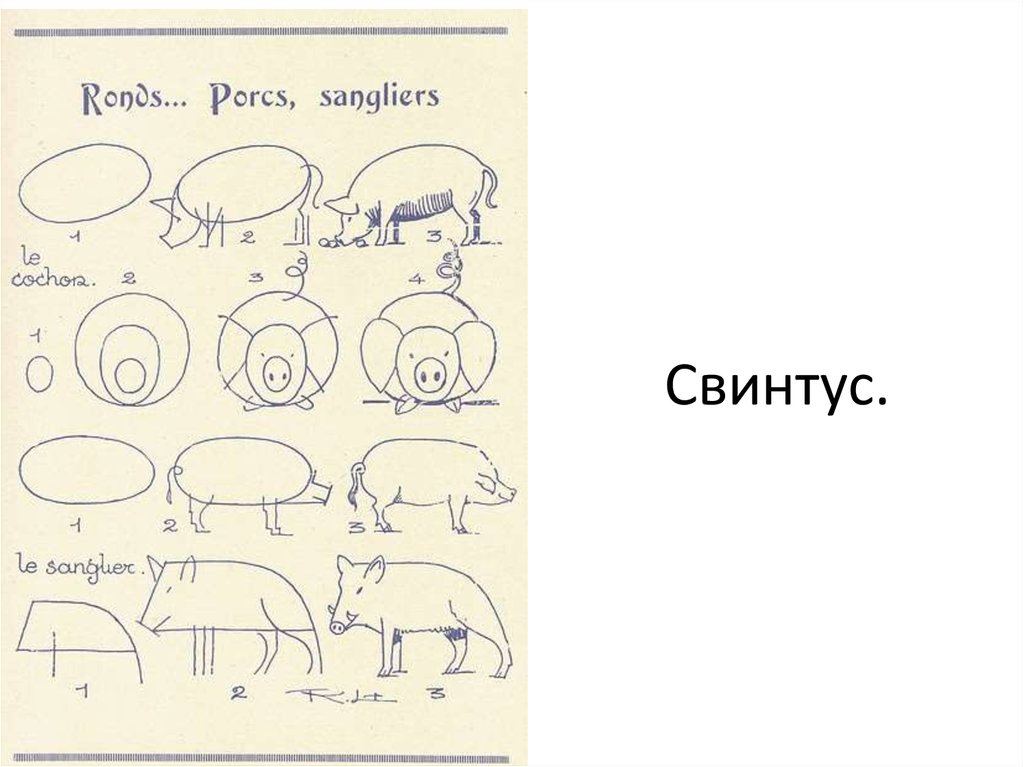 Как нарисовать кабана карандашом поэтапно для детей