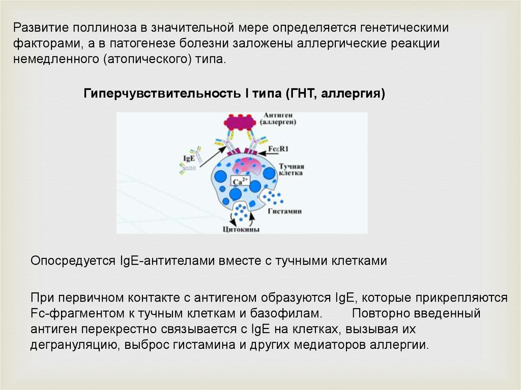 Карта поллиноза москва