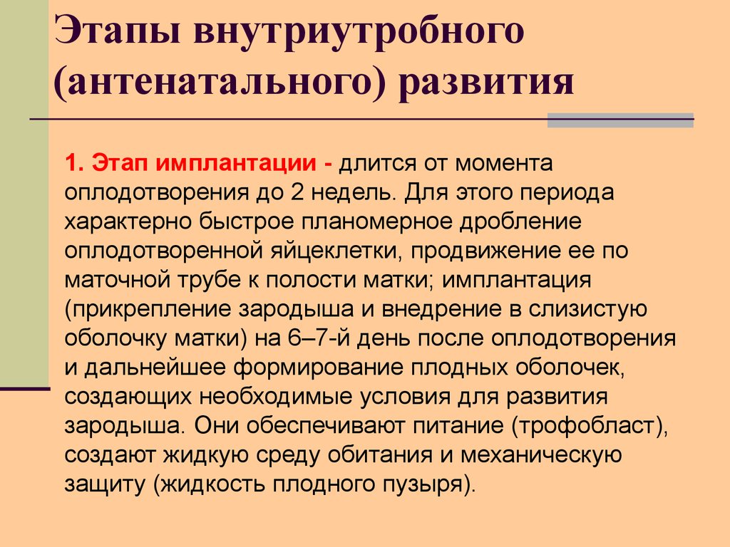 Смотреть Внутриутробное развитие ребенка с момента зачатия до появления на свет видео Смотреть Внутриутробное развитие ребенка с момента зачатия до появления на свет видео
