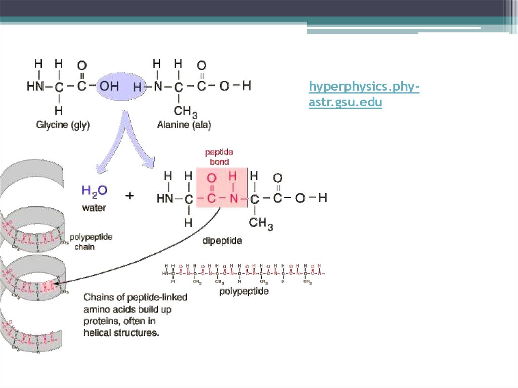 hyperphysics.phy-astr.gsu.edu