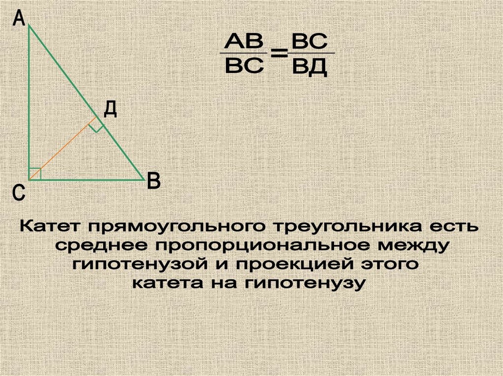 Катеты подобных треугольников. Катет прямоугольного треугольника есть среднее пропорциональное. Формулы проекции в прямоугольном треугольнике. Среднее пропорциональное задачи. Проекции треугольника формулы.