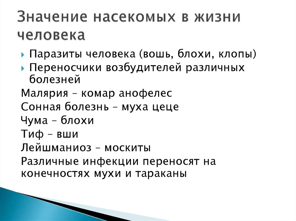 Значение насекомых в природе