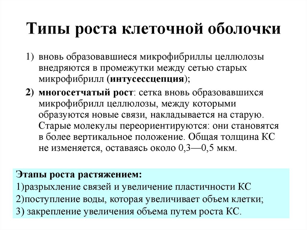 Виды роста. Типы роста клеточной оболочки. Рост клеточной оболочки. Этапы роста клетки. Рост клетки оболочки.