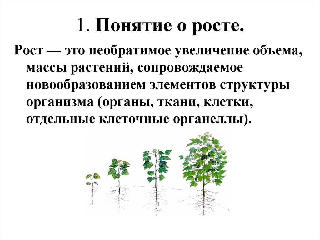 В чем особенность роста у растений. Рост и развитие. Рост и развитие растений. Понятие рост. Рост растений понятие.