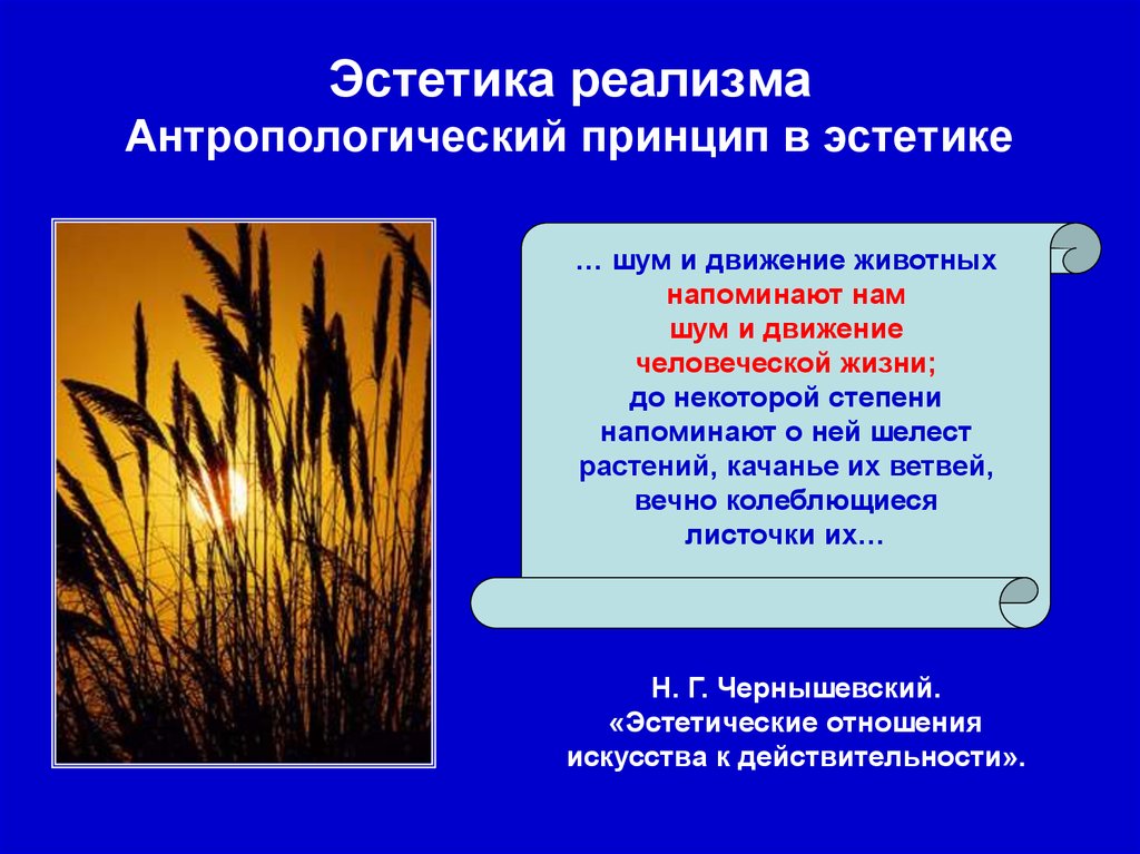 Эстетика реализма Антропологический принцип в эстетике