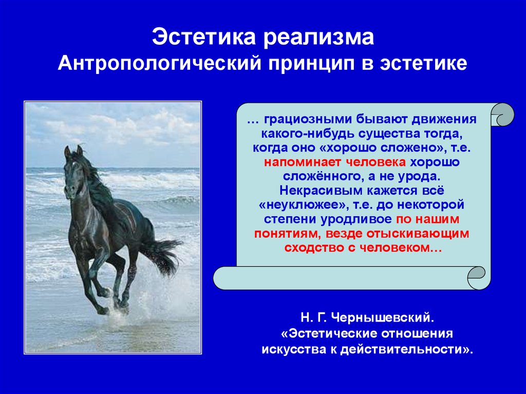 Виды эстетики. Эстетика реализма. Эстетические принципы реализма. Основной принцип эстетики реализма. Эстетика реализма основные принципы.