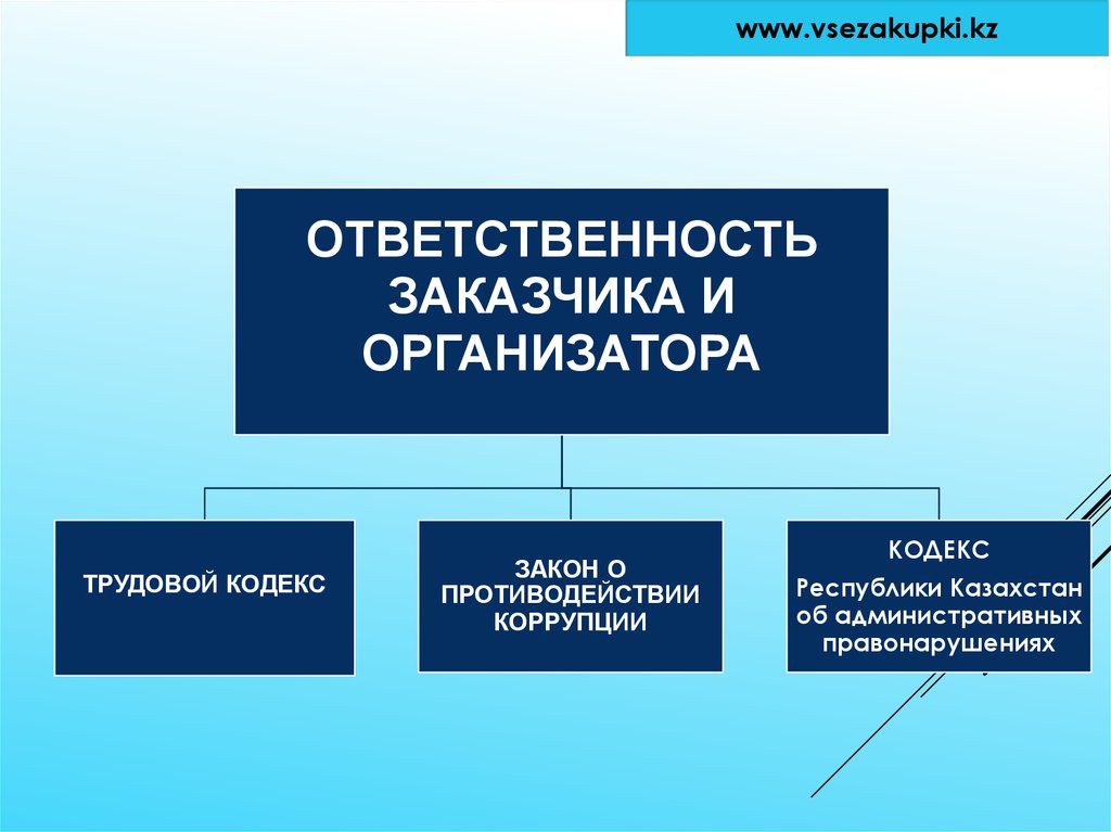 Ответственность заказчика. Организация государственных закупок в Казахстане. Казахстан закупочная система. Форма территориального устройства Казахстана.