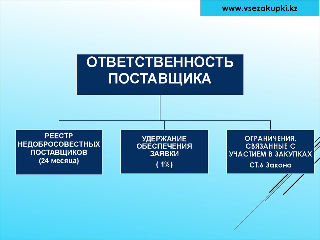 Ответственность поставщика. Ограничения связанные с государственной службой. Удержание обеспечения участия. Санкции поставщику.