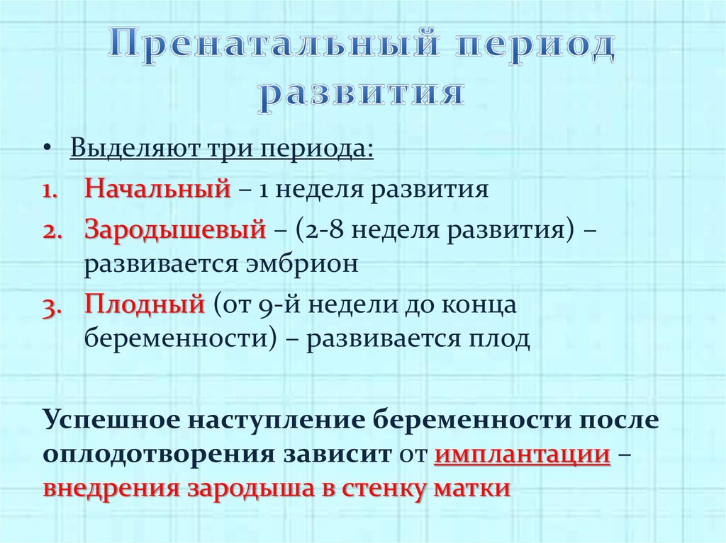 Пренатальный период