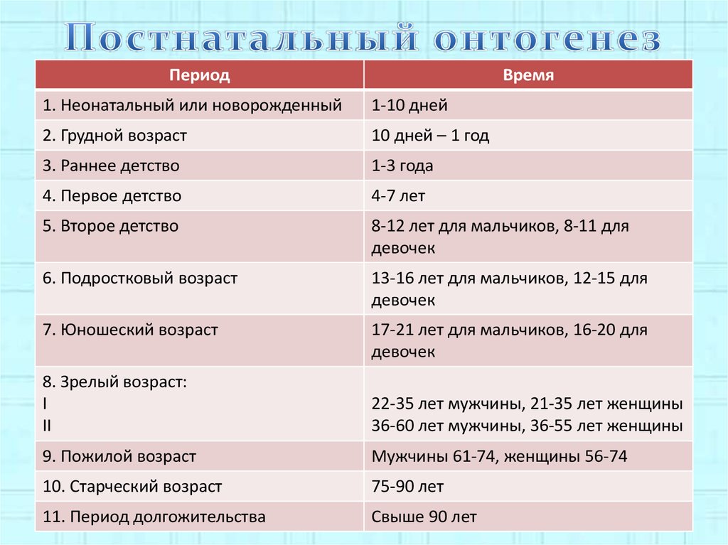 Постнатальный онтогенез это. Периоды постнатального онтогенеза. Периодизация постнатального развития. Периодизация постнатального онтогенеза человека. Постнатальный период развития это.