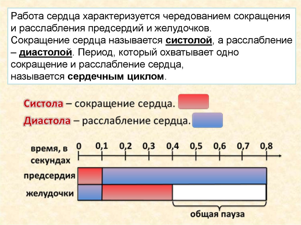 Период сердечного сокращения. Сокращение сердца называется. Период охватывающий одно сокращение и расслабление сердца называют. Период расслабления сердца. Период, охватывающий одно сокращение и расслабление сердца.