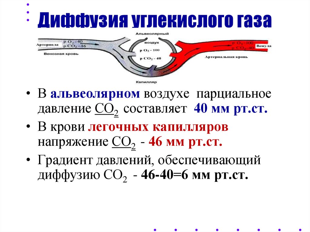 Градиент напряженности