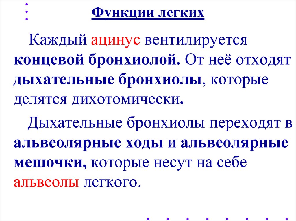 Функции легких. Функции лёгких человека кратко. Функции легких кратко. Функции лёгких кратко.