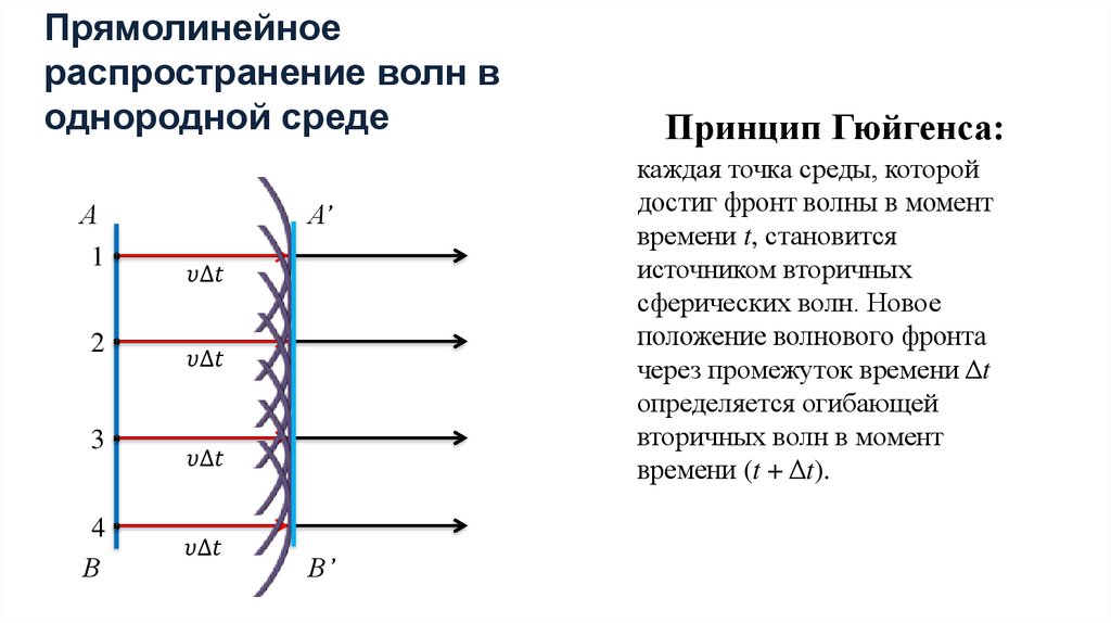 Фронт волны. Прямолинейное распространение волн. Фронт распространения волны. Фронт волны - это последняя волновая. Распространение волны в однородной среде.