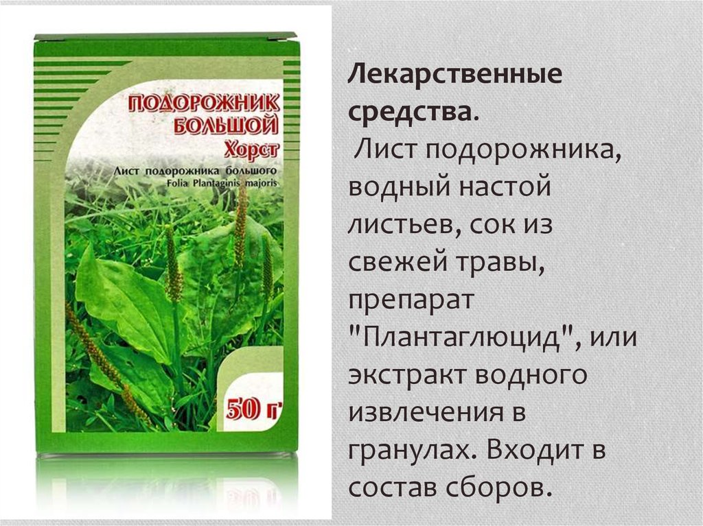 Лист средства. Препарат из подорожника Плантаглюцид. Сок подорожника Плантаглюцид. Листья подорожника лекарственные препараты. Способ приготовления подорожника.