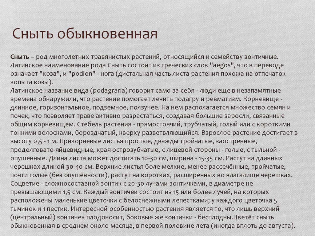 Сныть обыкновенная