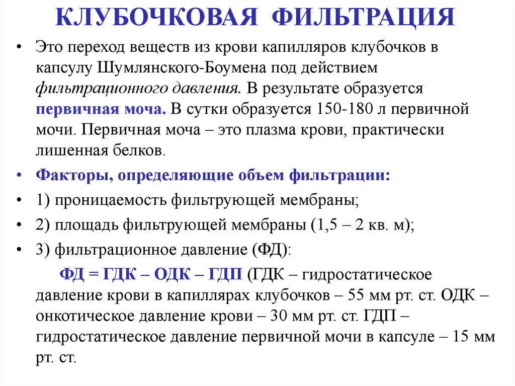 1 3 1 является наиболее. Клубочковая фильтрация физиология. Механизм клубочковой фильтрации физиология. Механизм клубочковой фильтрации схема. Характеристика клубочковой фильтрации физиология.