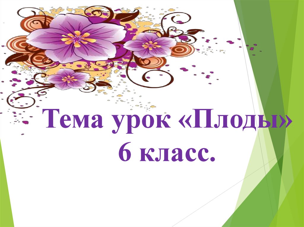 Доклад по биологии 6 класс. Урок биологии 6 класс. Уроки биологии 6 класс онлайн видео уроки.