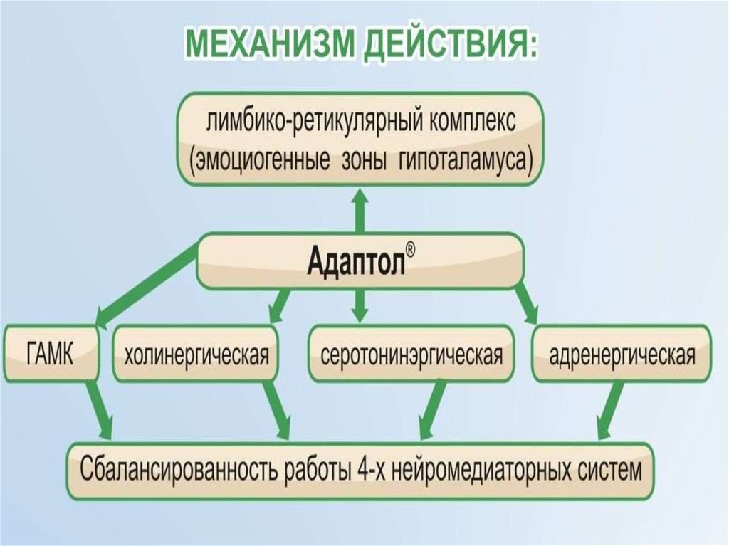 Механизм действия труда. Лимбико-ретикулярный комплекс структуры. Структуры лимбико-ретикулярной системы функции. Лимбико гипоталамо ретикулярный комплекс. Структура гипоталамо лимбико ретикулярный комплекс.