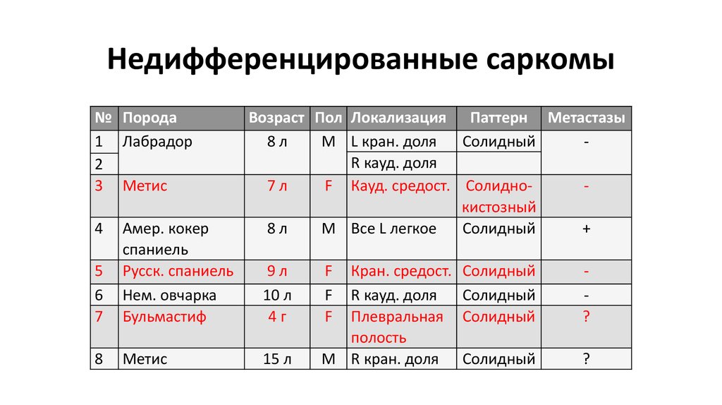 Недифференцированные саркомы