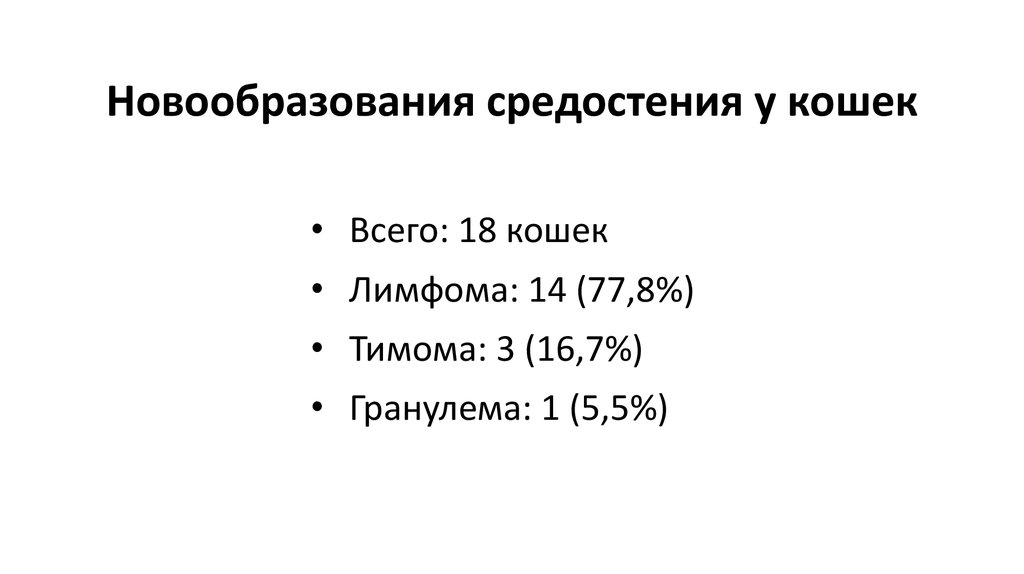 Новообразования средостения у кошек