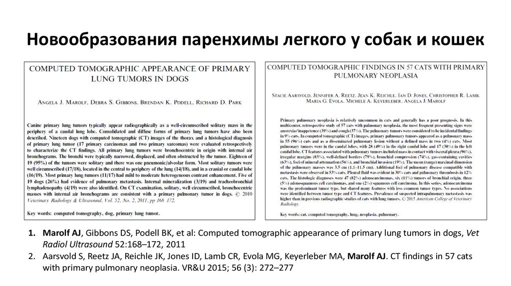 Новообразования паренхимы легкого у собак и кошек