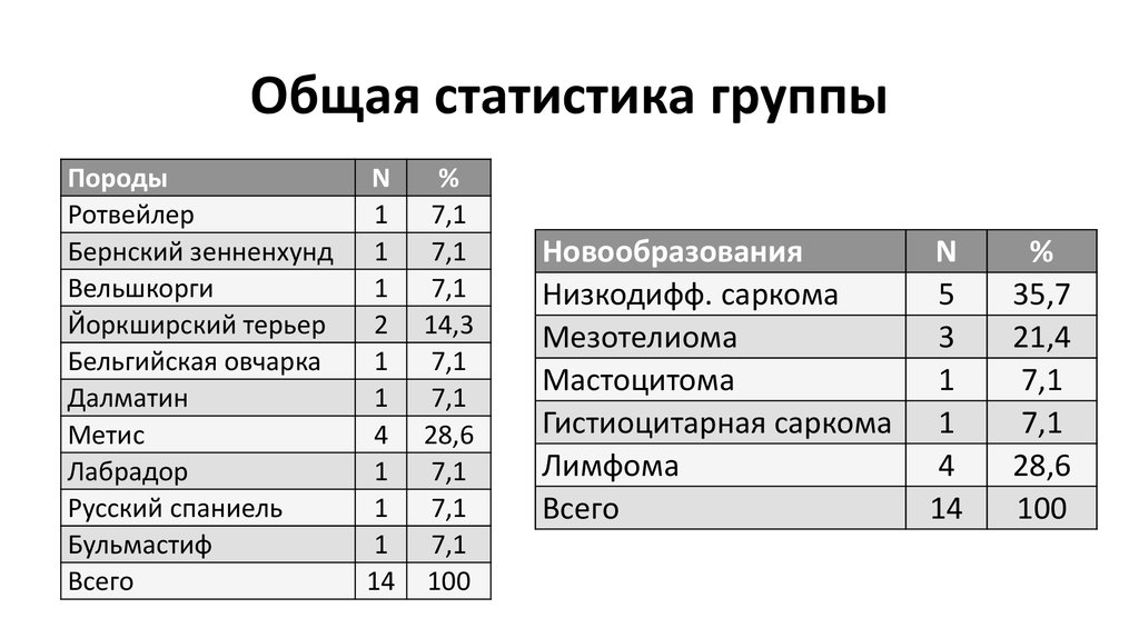 Общая статистика группы