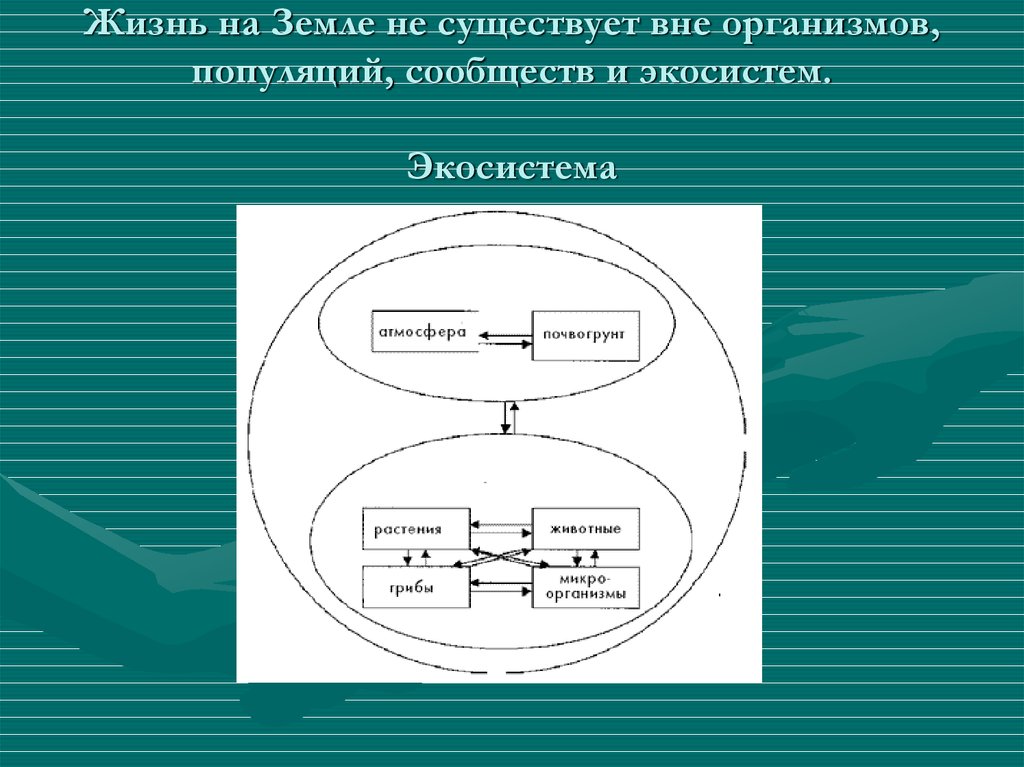 Вне существовать. Сравнение экосистемного и популяционного подходов в экологии.