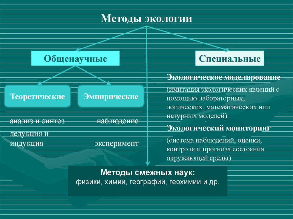 Предмет методы экологии. Методы экологии. Методы экологического моделирования. Методы экологических исследований. Методы применяемые в экологии.