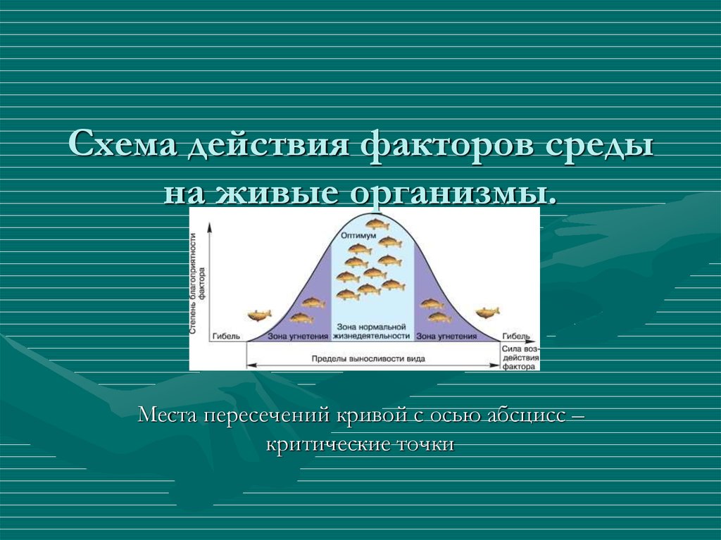 Методы изучения факторов среды. Схема действия факторов среды на живые. Схема действия факторов среды на живые организмы. Схема действия фактора среды на организмы. Действия факторовсоеды.