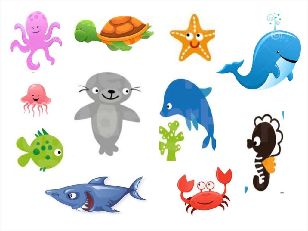 Sea animals - презентация онлайн