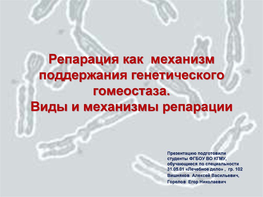 Механизмы поддержания. Механизм генетического гомеостаза. Генетические основы гомеостаза. Способы поддержания генетического гомеостаза. Антимутационные механизмы генетического гомеостаза.