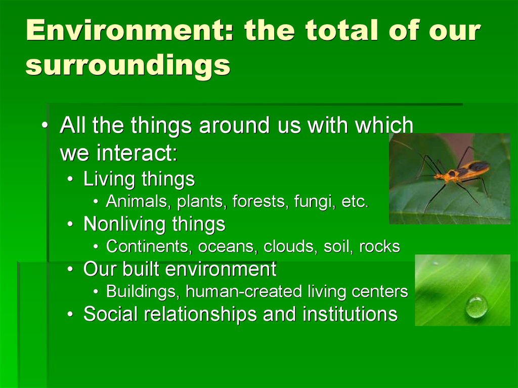 The environment is all the things. Our surroundings. Living things around us контрольная работа